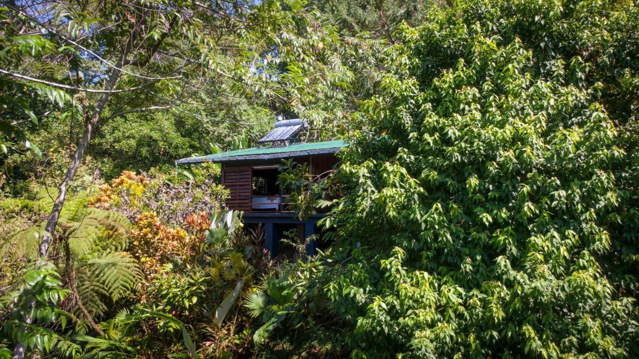 Tiskita Jungle Lodge Pavones  Exterior photo